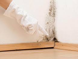 Best Commercial Mold Inspection  in Clayton, AL